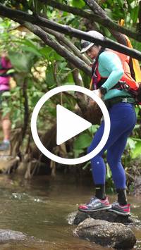 BIB:  <button type="button" onclick="openModal(27825147)" class="btn btn-primary btn-sm float-right" data-toggle="modal" data-target=".modal-high-quality">
                <i class="fa fa-download"></i> Download
                </button>